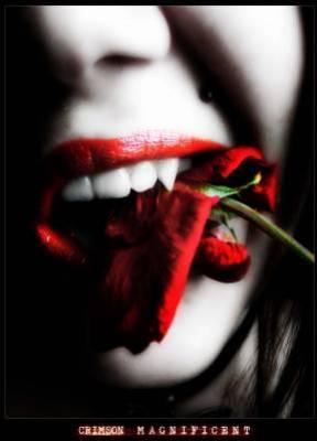 waw............belle flower